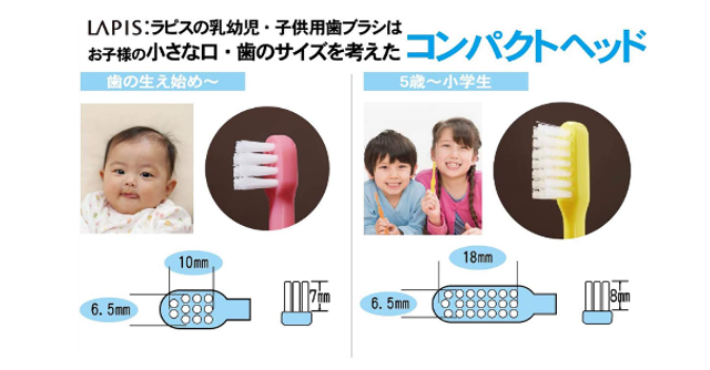 歯科推奨 ☆ 「L APIS 乳幼児歯ブラシ おなまえシリーズ」ハッピーカラー 12色セット