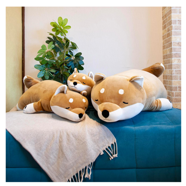 ふわもち触感☆「LIV HEART 抱き枕 プレミアムねむねむアニマルズ 柴犬のコタロウ Lサイズ」