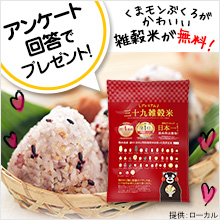 アンケート回答で全員もらえる！くまもんデザインがかわいい「プレミアム 三十九雑穀米」[PR]