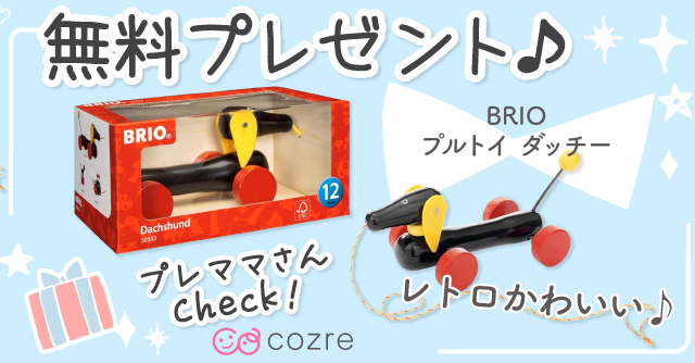 レトロかわいい☆「BRIO (ブリオ) プルトイ ダッチー」あんよの練習に