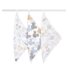 洗うたびに柔らか☆「エイデンアンドアネイ ガーゼタオル ミッキー&ミニー 3枚セット 」