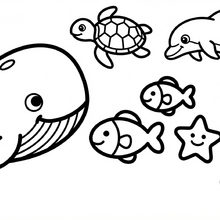 【無料プレゼント】コズレの塗り絵『だいしゅうごう！　うみの　いきもの』