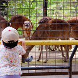 動物園
