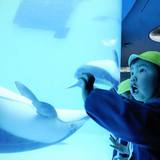 水族館