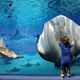 雨でも寒くても親子で遊べる「品川水族館アクアスタジアム」