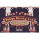 ディズニーランド・シーのバケーションパッケージでたくさん遊ぼう！