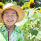 京都観光にもおすすめ！夏に咲き誇る珍しいひまわりを見に行こう