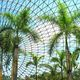 花に囲まれて深呼吸！開放感あふれる植物園４選｜大阪府