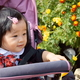 子連れファミリーのレジャーに最適！埼玉県内のおすすめ植物園
