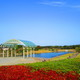 茨城「国営ひたち海浜公園」の魅力を徹底解説！
