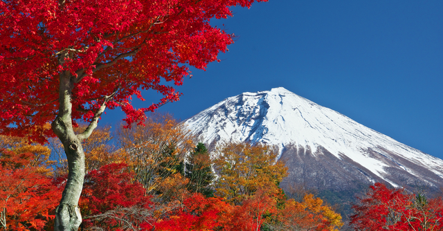 自然が織りなす美しさのハーモニー 紅葉狩りスポット４選 静岡県 Cozre コズレ 子育てマガジン