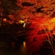 紅葉のライトアップ！愛知県のおすすめスポット3選