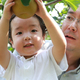 梨狩りでもぎたてが食べたい！新潟の子どもも楽しめるおすすめ農園3選