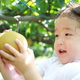 鳥取の名産品「梨」が食べ放題！子連れにおすすめ梨狩りスポット3選