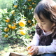 子どもと行く、アクセス便利な神奈川県のみかん狩りスポット3選