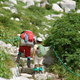 長野県の子連れで登山できる山3選！親子で山デビューしよう！