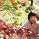 千葉県の紅葉スポット9選｜子どもと一緒に楽しく秋を満喫！