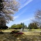 都心の自然「世田谷公園」でSLやプレーパークで楽しもう｜東京都