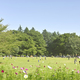 小金井公園は外遊び大好きな子どもが喜ぶ施設がいっぱい！