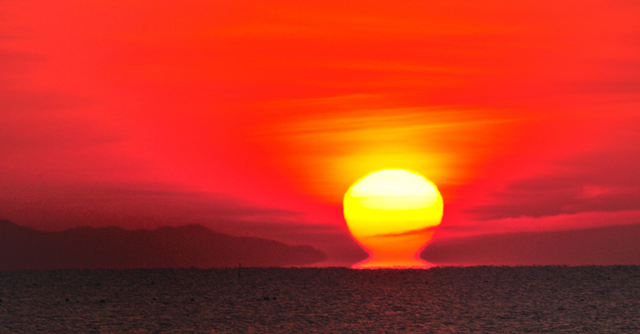 愛知の初日の出スポット３選 家族で初日の出を見に行こう Cozre コズレ 子育てマガジン