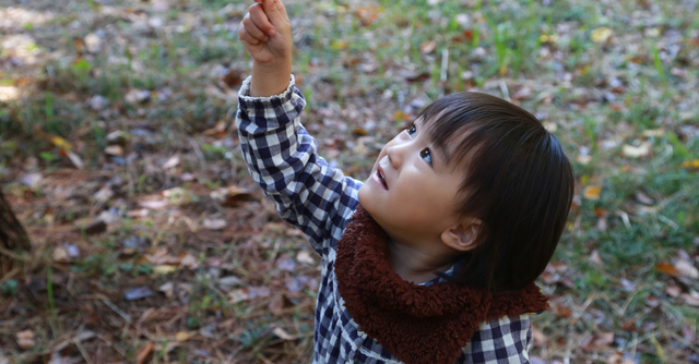 静岡の紅葉スポットおすすめ11選 イベントやライトアップも Cozre コズレ 子育てマガジン