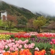 秦野戸川公園に行こう！バーベキューや川遊びも｜神奈川県
