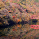 子どもも喜ぶ！広島県の紅葉狩りスポットおすすめ3選