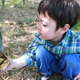 南伊豆、一条竹の子村でたけのこ狩り！旬の味覚を味わおう｜静岡