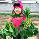 神奈川のイイジマ農園で野菜もいちごも収穫体験！