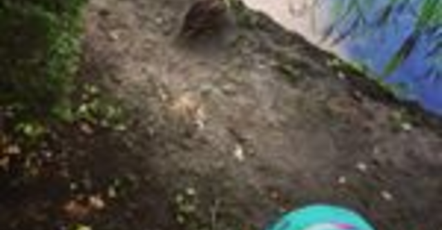 世田谷区のおすすめ公園3選 晴れた日は子どもと公園遊び 東京都 Cozre コズレ 子育てマガジン
