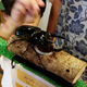 大淀川学習館は無料で楽しい！夏はカブトムシのイベントも｜宮崎