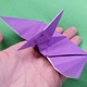 恐竜好きな子どもにおすすめ！プテラノドンを折り紙で作ろう！