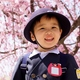幼稚園の費用を大解説！幼保無償化における公立・私立幼稚園の費用をチェック