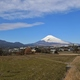 ヤクルト本社の工場見学がおすすめ！土曜日や祝日もOK｜静岡県