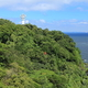 子連れで横須賀観光！自然を楽しむおすすめスポット3選！l 神奈川県