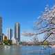 上野公園で遊んでランチ！子連れで満喫おすすめスポット｜東京都