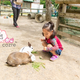 おすすめ動物園の口コミランキング ～4歳編【2019年1月】