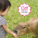 子連れで動物園に行くときに気をつけるポイントは？【お悩み相談】