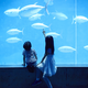 【水族館（関東）】コズレ会員の口コミ・評価まとめ