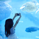 【水族館（四国）】コズレ会員の口コミ・評価まとめ