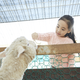 【動物園（東北）】コズレ会員の口コミ・評価まとめ