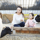 【動物園（四国）】コズレ会員の口コミ・評価まとめ