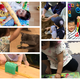 コズレ「おうち時間フォトコンテスト」グランプリ発表！！