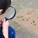 好奇心を育てよう！赤ちゃんから3歳頃まで長く楽しめる図鑑9選【0～3歳向け】