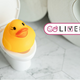 パートナーはトイトレに協力的？そうでもない？【コズレLIVE投票】