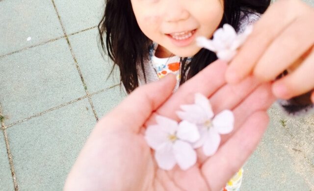 子どもが摘んだ花,花,栽培キット,簡単