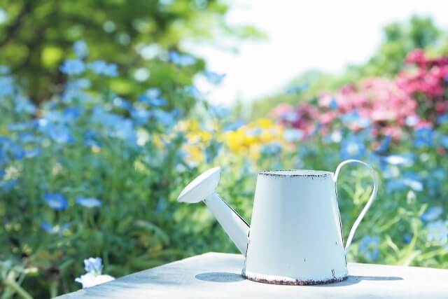 じょうろと花,花,栽培キット,簡単