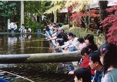 釣り堀,成田,エアポートコース,アスレチック