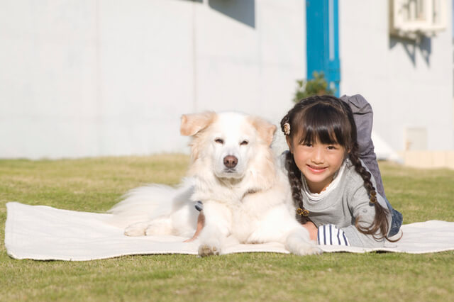 白い犬と女の子,新富士オートキャンプ場,