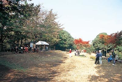 かしの木山自然公園,昆虫採集,夏休み,東京